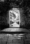secret garden (low res).jpg (208344 bytes)
