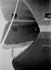 ships (low res).jpg (256104 bytes)